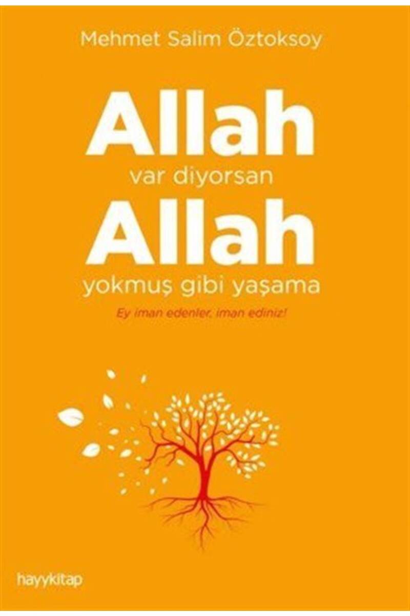 Allah var diyorsan  Allah yokmuş gibi yaşama - Mehmet Salim Öztoksoy - Kitap Kapak Görseli 1