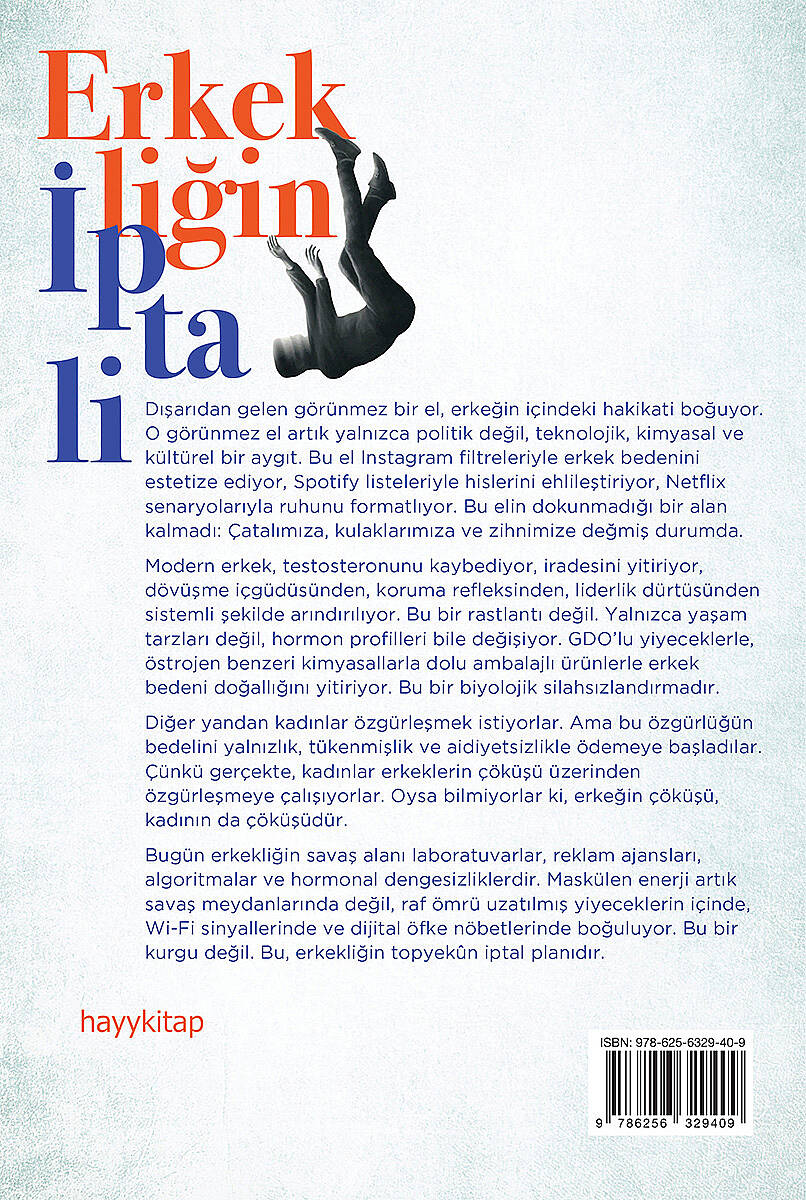 Erkekliğin İptali - Uzman Psikolog Haydar Salık - Kitap Kapak Görseli 2