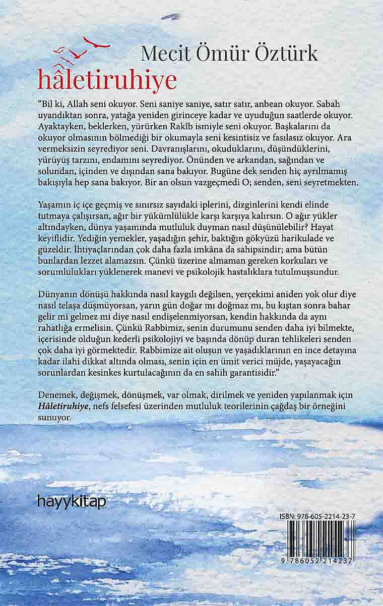 Haletiruhiye - Mecit Ömür Öztürk - Kitap Kapak Görseli 2