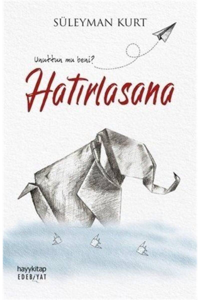 Hatırlasana - Süleyman Kurt - Kitap Kapak Görseli 1