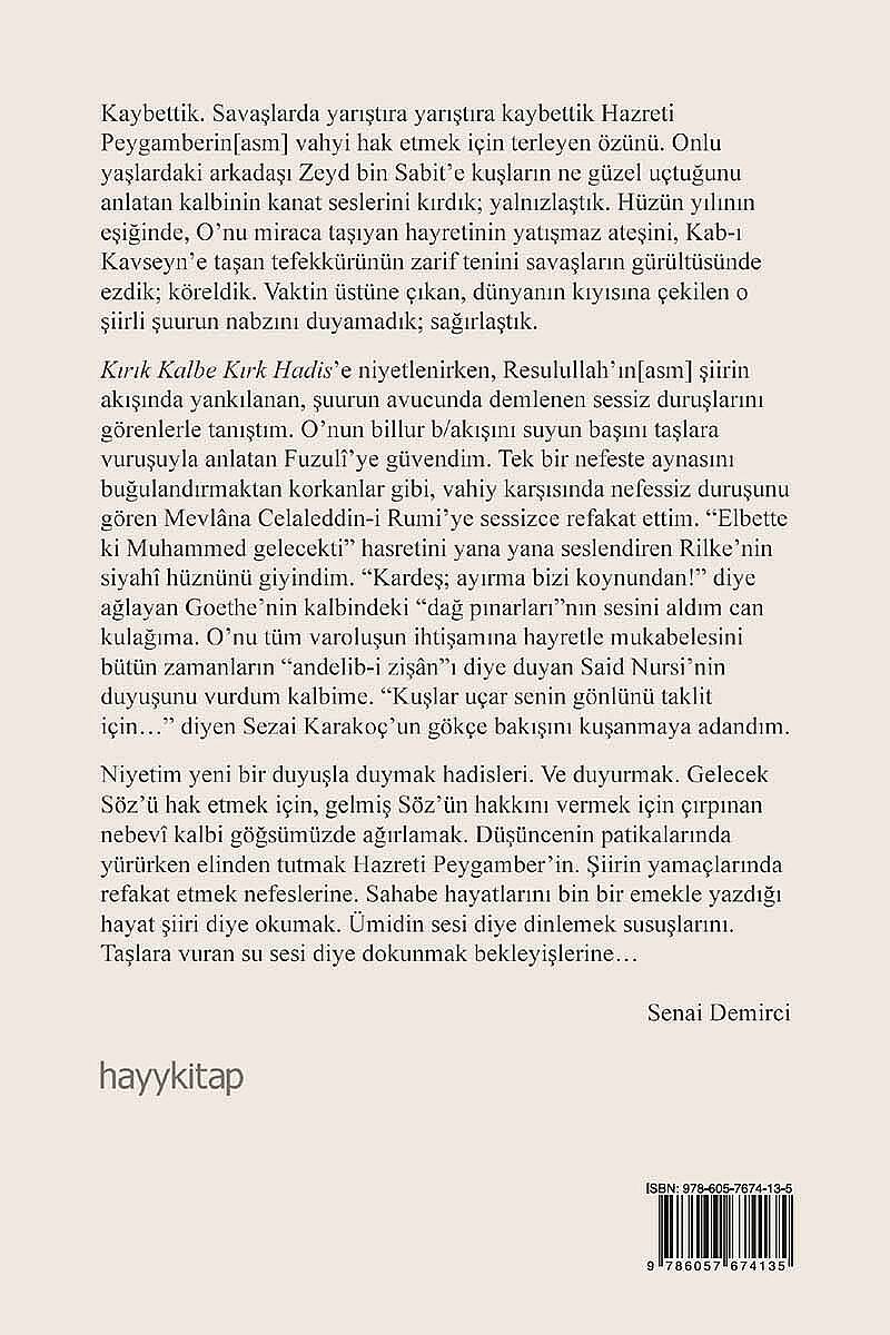 Kırık Kalbe Kırk Hadis - Dervişin Yolu 4 - Senai Demirci - Kitap Kapak Görseli 2