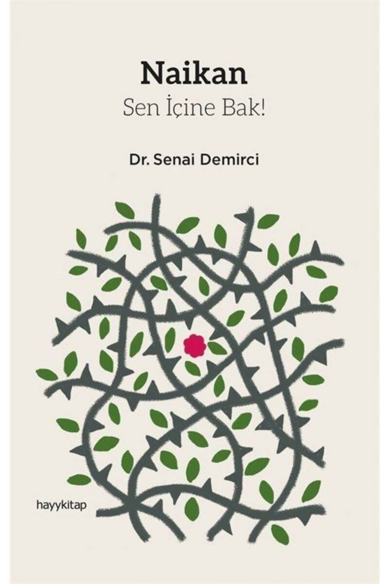 Naikan - Senai Demirci - Kitap Kapak Görseli 1
