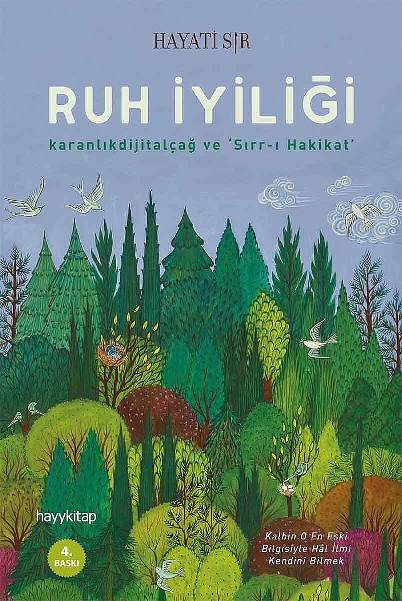 Ruh İyiliği - Hayati Sır - Kitap Kapak Görseli 1